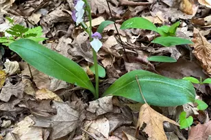 1185 Belle Meade Rd, Bumpass, VA 23024 - Photo 96