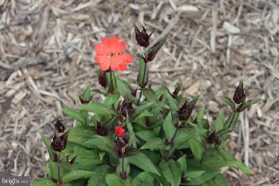 1185 Belle Meade Rd, Bumpass, VA 23024 - Photo 114