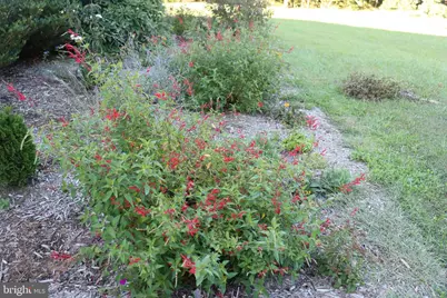 1185 Belle Meade Rd, Bumpass, VA 23024 - Photo 84