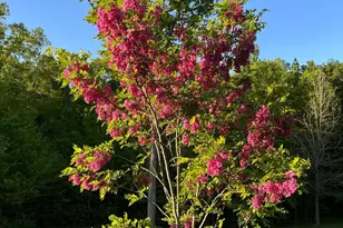 1185 Belle Meade Rd, Bumpass, VA 23024 - Photo 88