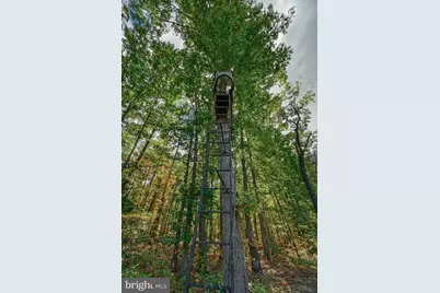 Cross Country Rd., Mineral, VA 23117 - Photo 56
