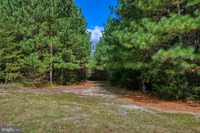 Cross Country Rd., Mineral, VA 23117 - Photo 42