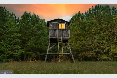 Cross Country Rd., Mineral, VA 23117 - Photo 1