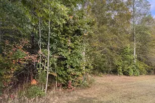 284 Boulder Springs Ln, Louisa, VA 23093 - Photo 40