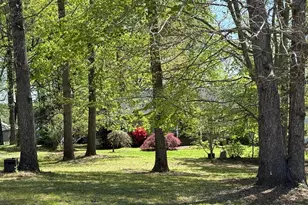 778 Overton Dr, Mineral, VA 23117 - Photo 72