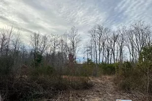 Lot 1 Belsches Rd, Bumpass, VA 23024 - Photo 1