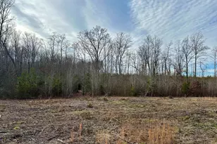 Lot 2 Belsches Rd, Bumpass, VA 23024 - Photo 1