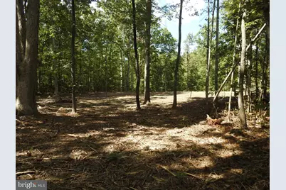 465 Equestrian Landing Trail, Bumpass, VA 23024 - Photo 8