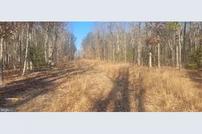 Shelton Lane, Mineral, VA 23117 - Photo 6