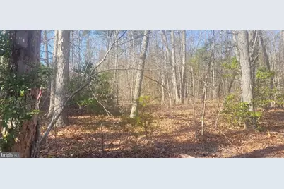 Shelton Lane, Mineral, VA 23117 - Photo 4