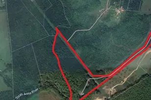 362 Dell Perkins Rd, Louisa, VA 23093 - Photo 4