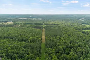 362 Dell Perkins Rd, Louisa, VA 23093 - Photo 20