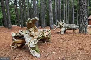 362 Dell Perkins Rd, Louisa, VA 23093 - Photo 28