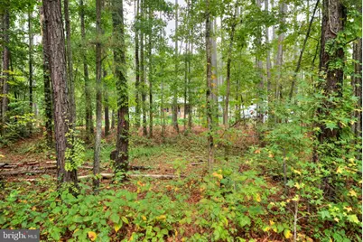 2635 Bumpass Road, Beaverdam, VA 23015 - Photo 44