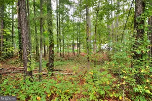 2635 Bumpass Rd, Beaverdam, VA 23015 - Photo 44