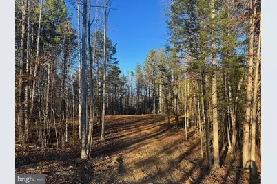 541 Equestrian Landing Trail, Bumpass, VA 23024 - Photo 4