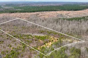 00 Wesbey Dr, Louisa, VA 23093 - Photo 1