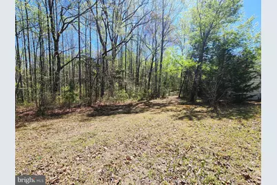 3618 Johnson Road, Mineral, VA 23117 - Photo 6