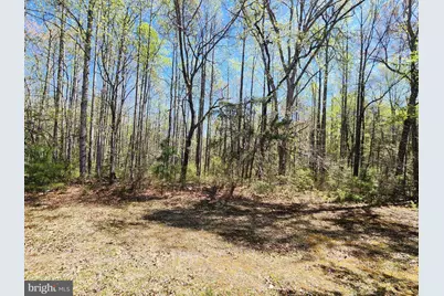 3618 Johnson Road, Mineral, VA 23117 - Photo 8