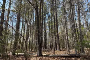 Windwood Coves Blvd, Mineral, VA 23117 - Photo 1