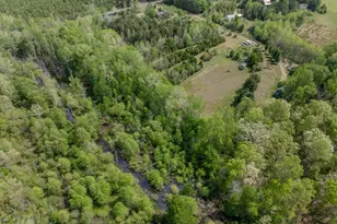 516 Apple Grove Rd, Mineral, VA 23117 - Photo 76