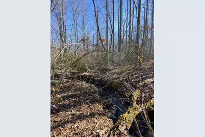 Firehouse Drive, Louisa, VA 23093 - Photo 10
