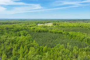 14584 Cross County Rd, Mineral, VA 23117 - Photo 60