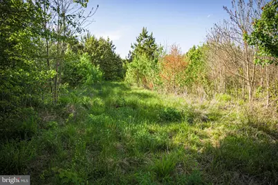 0 Harts Mill Road, Mineral, VA 23117 - Photo 30