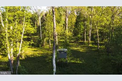 0 Harts Mill Road, Mineral, VA 23117 - Photo 4