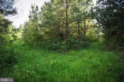0 Harts Mill Road, Mineral, VA 23117 - Photo 32