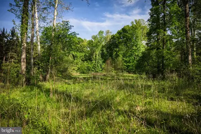 0 Harts Mill Road, Mineral, VA 23117 - Photo 22