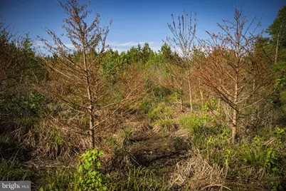 0 Harts Mill Road, Mineral, VA 23117 - Photo 28