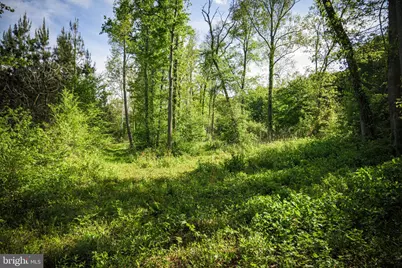 0 Harts Mill Road, Mineral, VA 23117 - Photo 24