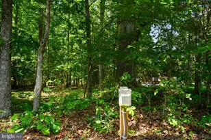 418 Windwood Coves Blvd, Mineral, VA 23117 - Photo 36