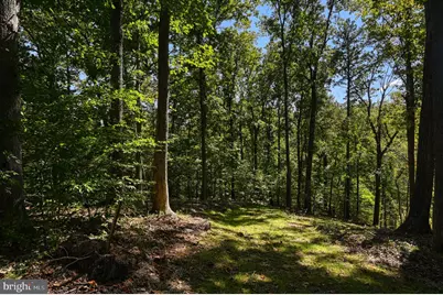 1242 N Lakeshore Drive, Louisa, VA 23093 - Photo 46