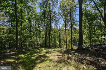 1242 N Lakeshore Drive, Louisa, VA 23093 - Photo 54