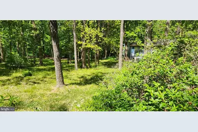 Nottingham Road 0, Louisa, VA 23093 - Photo 2