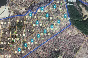 Lots 15-19 and 21-28 Garretts Mill Rd, Mineral, VA 23117 - Photo 1