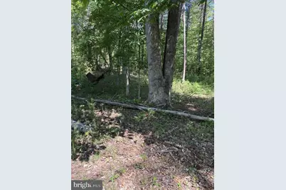 Lot 2 Plum Tree Circle, Bumpass, VA 23024 - Photo 18