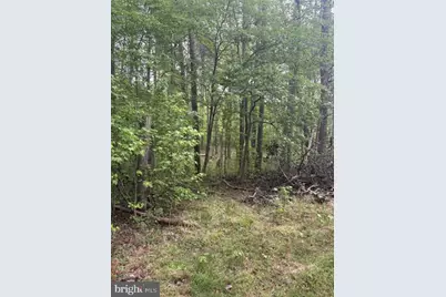 Lot 2 Plum Tree Circle, Bumpass, VA 23024 - Photo 12