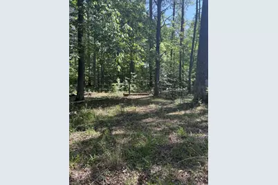 Lot 2 Plum Tree Circle, Bumpass, VA 23024 - Photo 16