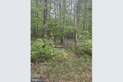 Lot 2 Plum Tree Circle, Bumpass, VA 23024 - Photo 14
