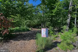 287 Sunset Loop, Mineral, VA 23117 - Photo 82