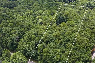 59 Pinewood Dr, Mineral, VA 23117 - Photo 82
