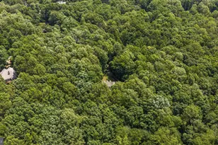 59 Pinewood Dr, Mineral, VA 23117 - Photo 84