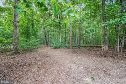 767 Loving Road, Gordonsville, VA 22942 - Photo 28