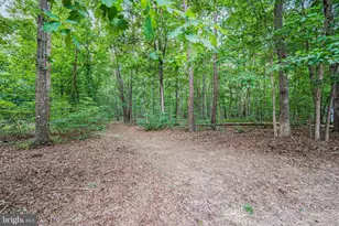 767 Loving Rd, Zion Crossroads, VA 22942 - Photo 28