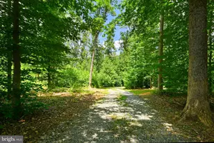 4528 E Old Mountain Rd, Louisa, VA 23093 - Photo 22
