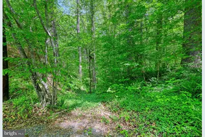 14584 Cross County Road, Mineral, VA 23117 - Photo 16