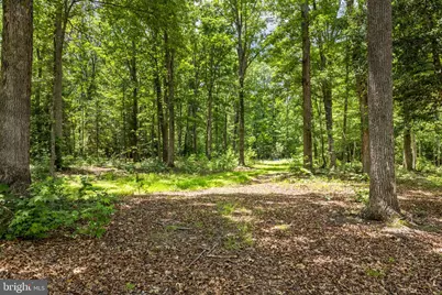 1271 Apple Grove Road, Mineral, VA 23117 - Photo 64